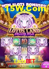 Estratégias Crash Games Tadabet